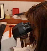 Животът под микроскоп