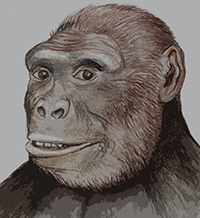 Най-старият предчовек е живял на Балканите