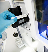 Интелектуалци с решения за Брекзит