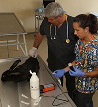 Държавата е силна, когато гражданите й са образовани