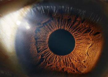 Очите разкриват биологичната възраст