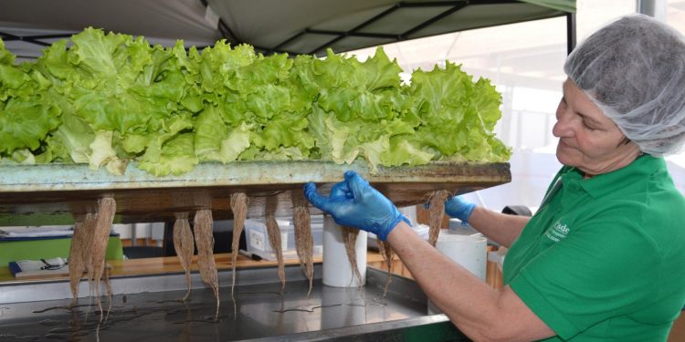 Център за аквапоника в Стара Загора