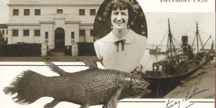 Молекулният часовник на еволюцията