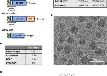Разработиха иРНК ваксина срещу  Yersinia pestis