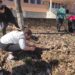 Силата на ученическите съвети