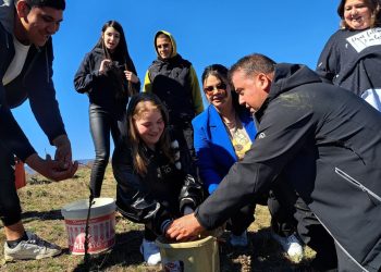 Дървото носи топлина