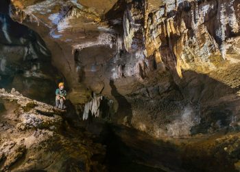 Доц. д-р Димитър Желев: Науката е динамична и постоянно има открития